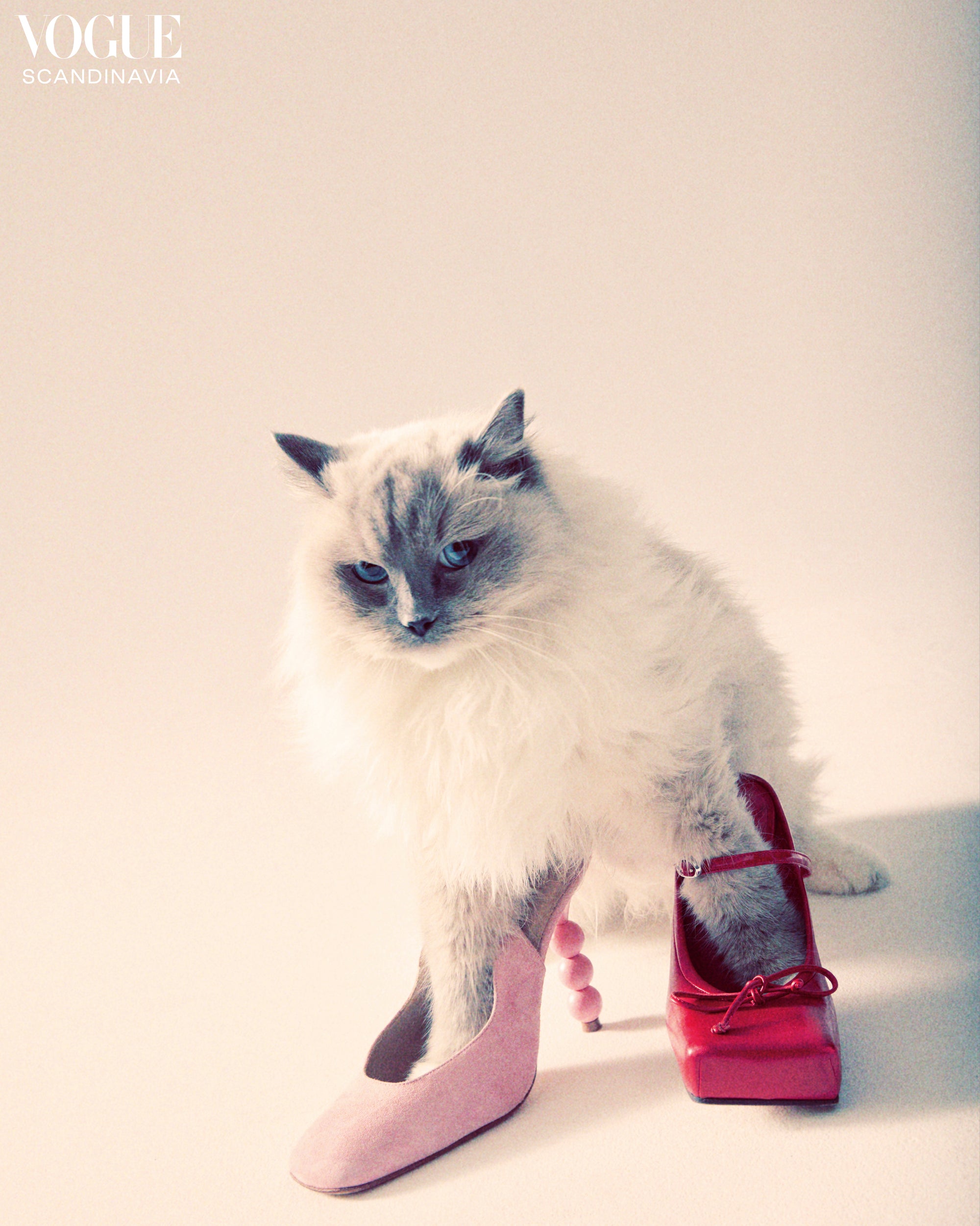 Vogue Scandinavia